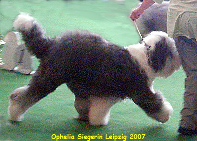 Ophelia Siegerin Leipzig 2007