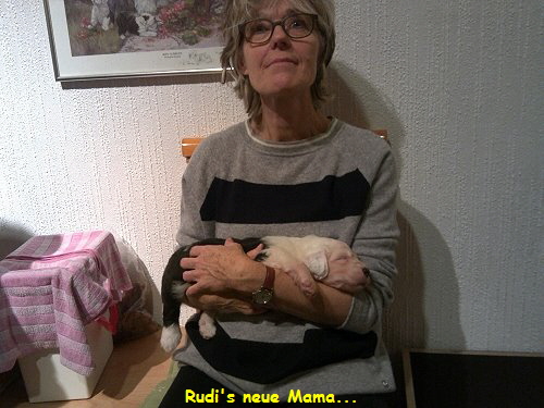 Rudi's neue Mama...